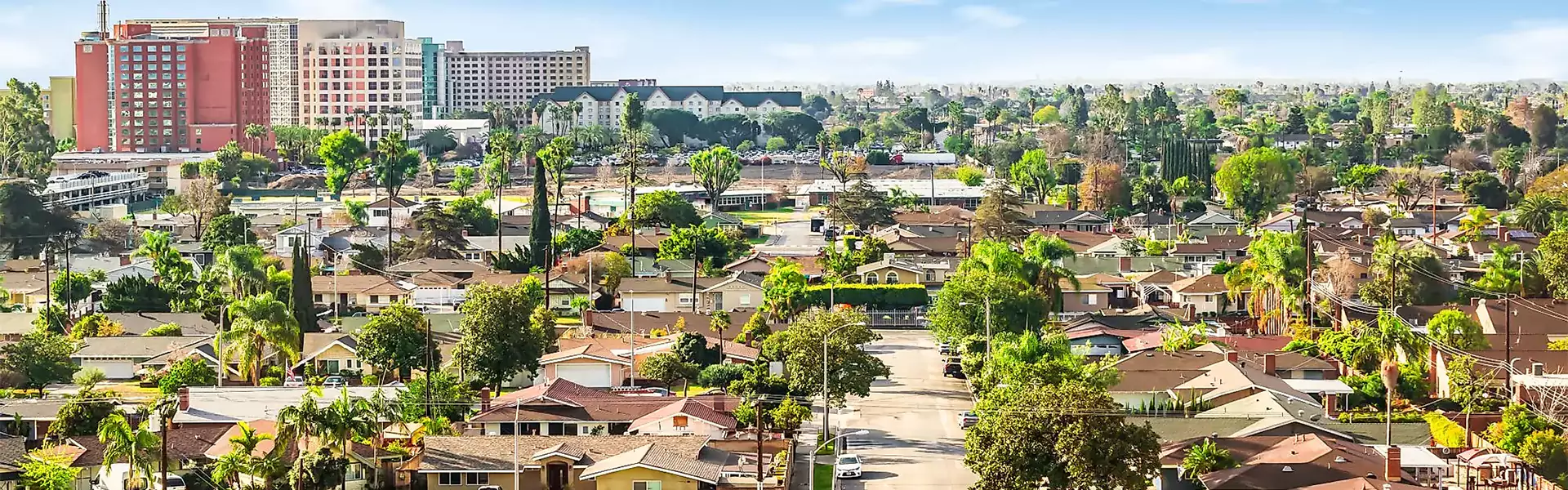 Aerial view of suburban neighborhood with trees.