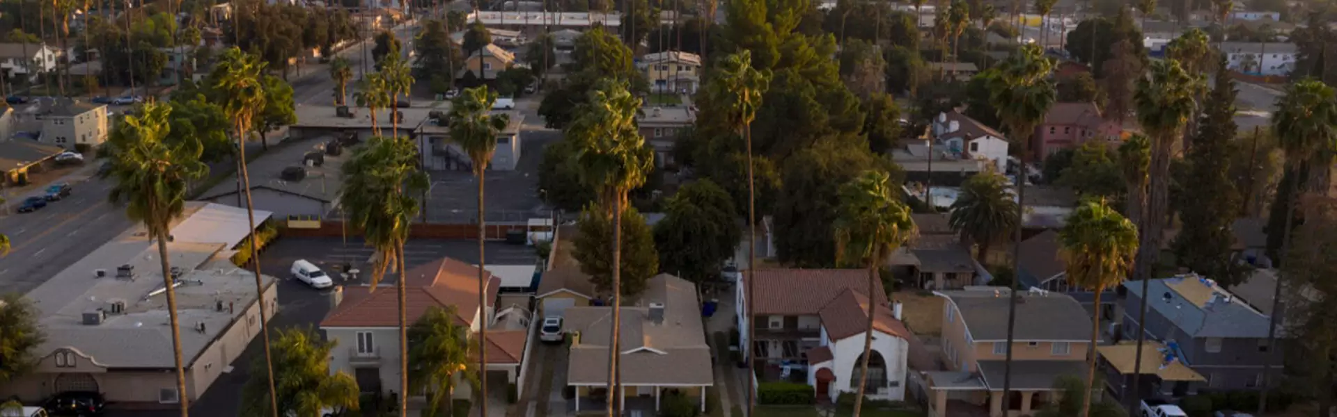 Aerial view of suburban neighborhood with palm trees.