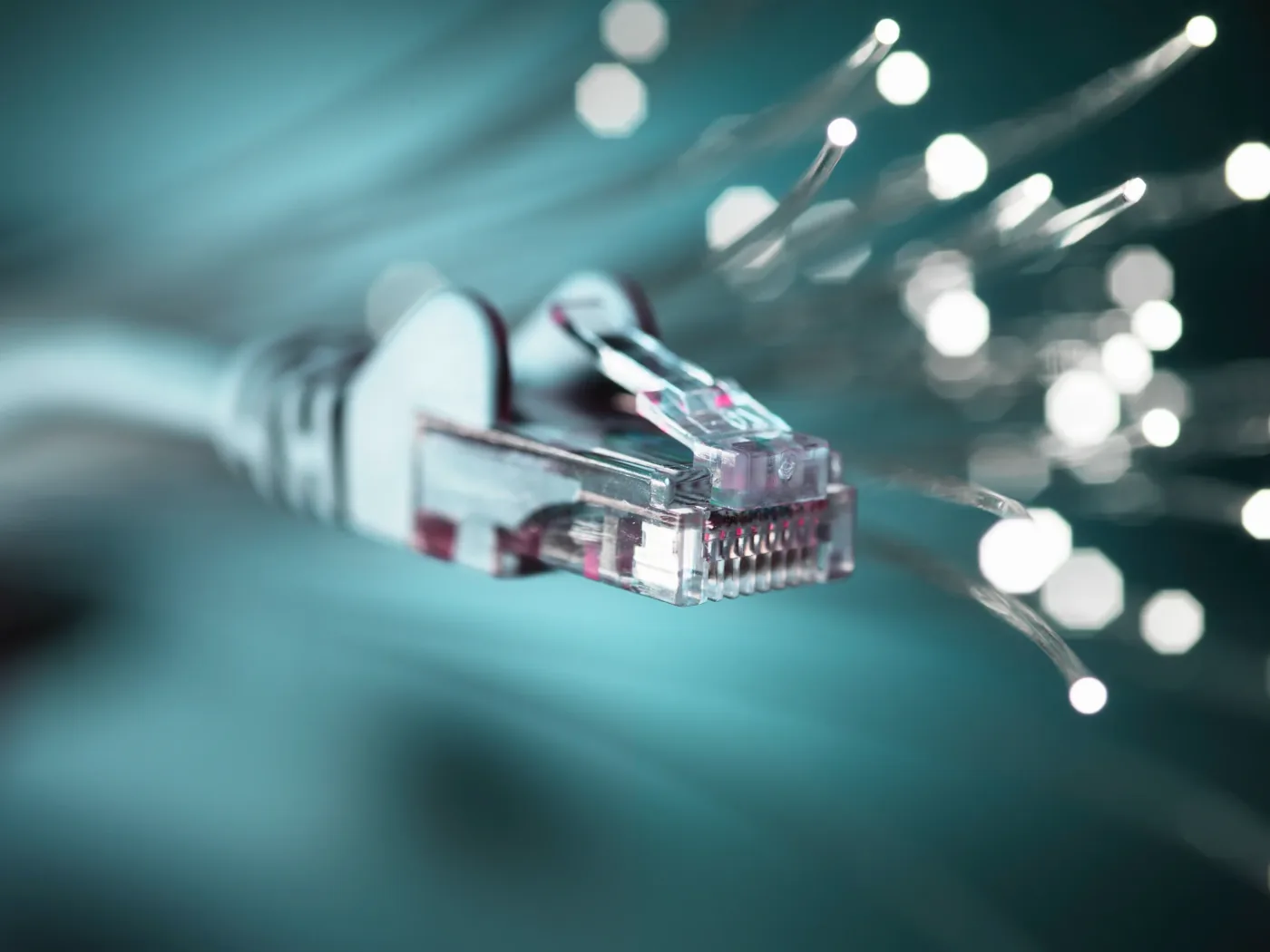Close-up of a network cable connector